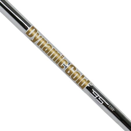 True Temper Dynamic Gold 95 Golf Iron Shaft