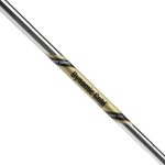 True Temper Dynamic Gold Tour Issue Golf Iron Shaft